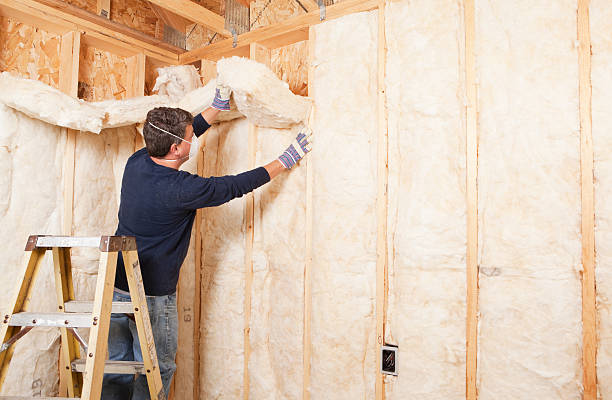 Best Eco-Friendly Insulation Solutions  in Cynthiana, KY